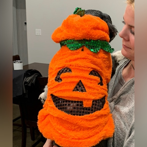 Other - Pumpkin pet costume, Medium, Halloween